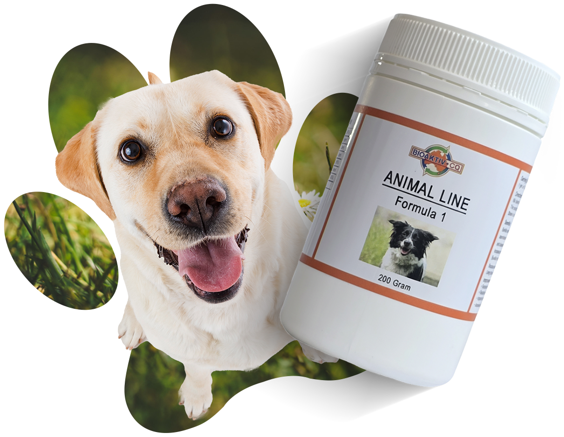 Natural Dog Food Australia
